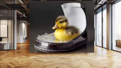 little duckling in a shoe with water Wall mural