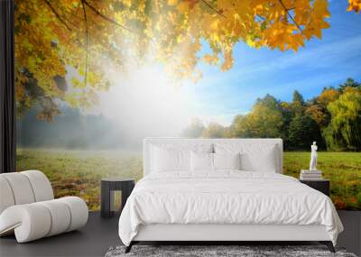 Beautiful autumn tree with fallen dry leaves Wall mural