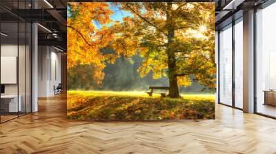 Beautiful autumn tree with fallen dry leaves Wall mural