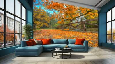 Beautiful autumn tree with fallen dry leaves Wall mural