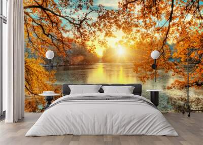 Beautiful colored trees with lake in autumn, landscape photography Wall mural