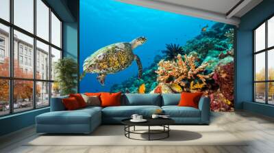 Coral reef with turtle Wall mural