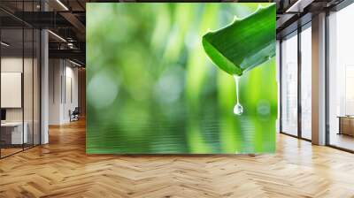 Dropping aloe vera liquid from leaf. Wall mural