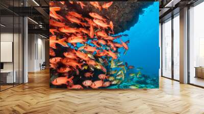 Flock of fish in ocean Wall mural