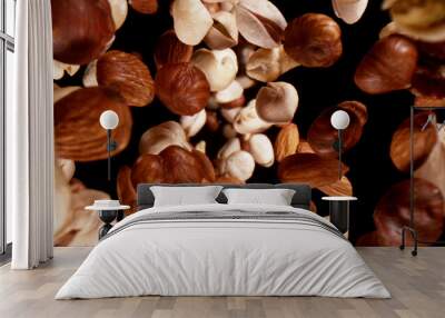 Freeze motion of flying mix of nuts Wall mural