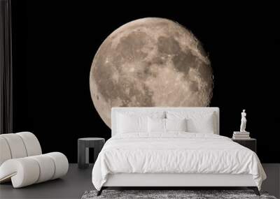 Full Moon detail Wall mural