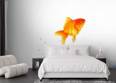 golden fish jumping out Wall mural