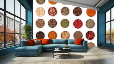 Huge spices collection, isolated on white background Wall mural