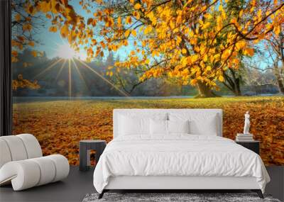 Morning sunrays in late autumn forest Wall mural