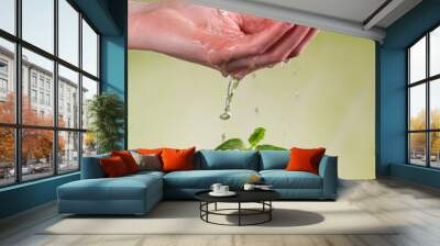 Woman hand watering young plant Wall mural