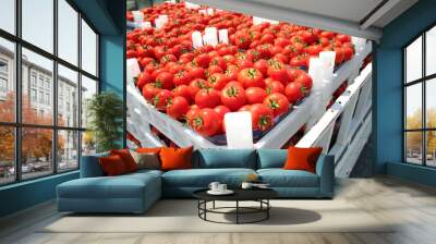 tomatoes in the box Wall mural