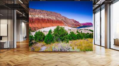 Flaming Gorge 2 Wall mural