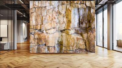 Petrified Wood 1 Wall mural