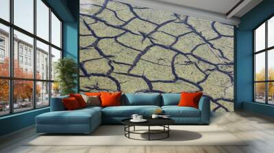 dry cracked clay in swamp Wall mural