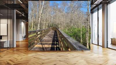 Path at Florida swamp park. Wall mural