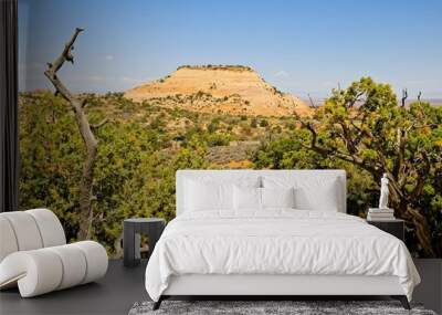 Canyonlands National Park in southeastern Utah, a dramatic desert landscape carved by the Colorado River.  Wall mural