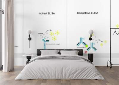 The principle of Enzyme-Linked Immunosorbent (ELISA) Assay: Direct, Indirect, Competitive, and Sandwich ELISA technique  Wall mural