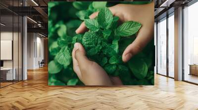 Thai Herbal Medicine Experimentation and Extraction Process, Featuring Colorful Traditional Herbs, Laboratory Equipment, and Scientific Analysis Wall mural