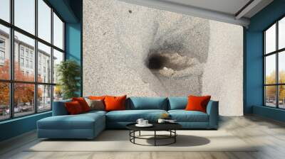 Hole on the Beach Wall mural