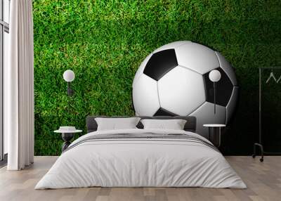 3d rendering of a soccer ball in green grass Wall mural