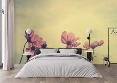 Vintage Cosmos flowers in sunset time Wall mural