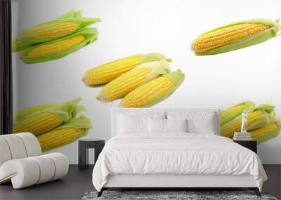 corn, food, vegetable, yellow, agriculture, cob, maize, healthy, fresh, crop Wall mural