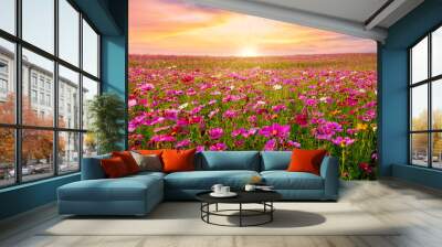 Beautiful and amazing of cosmos flower field landscape in sunset. nature wallpaper  background. Wall mural