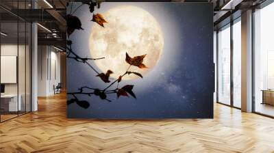 beautiful autumn fantasy - maple tree in fall season and full moon with milky way star in night skie Wall mural