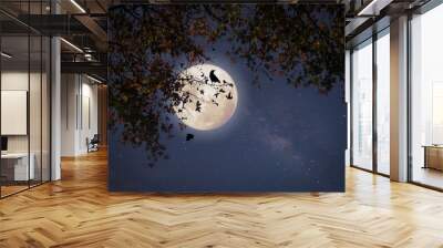 Beautiful autumn fantasy - maple tree in fall season and full moon with star. Retro style with vintage color tone. Halloween and Thanksgiving in night skies background concept. Wall mural