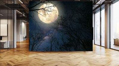 Beautiful milky way star in night skies, full moon and old tree - Retro fantasy style artwork with vintage color tone. Wall mural