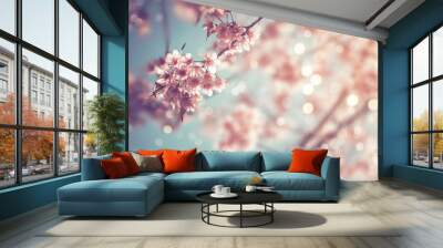 Close-up of beautiful vintage sakura tree flower (cherry blossom) in spring. vintage color tone style. Wall mural