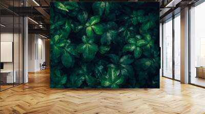 Foliage of tropical leaf in dark green with rain water drop on texture, abstract pattern nature background. Wall mural