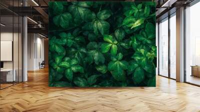 Foliage of tropical leaf in dark green with rain water drop on texture, abstract pattern nature background. Wall mural