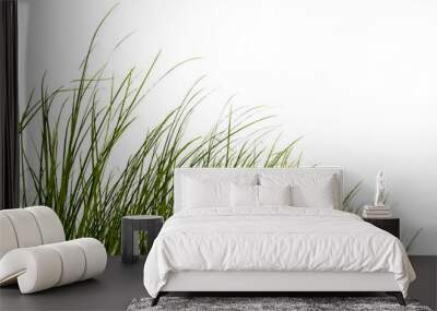 green grass isolated for object design Wall mural