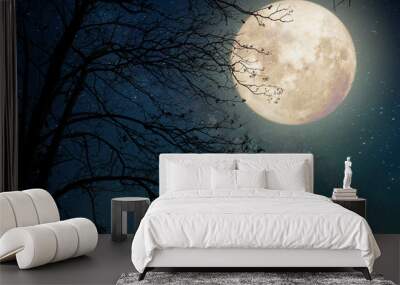 Milky Way star in night skies, full moon and old tree - Retro style artwork with vintage color tone (Elements of this moon image furnished by NASA) Wall mural