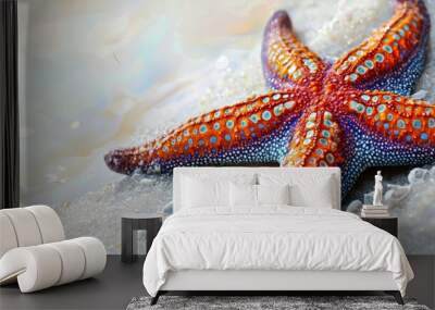 Colorful Starfish on White Sand Beach Wall mural