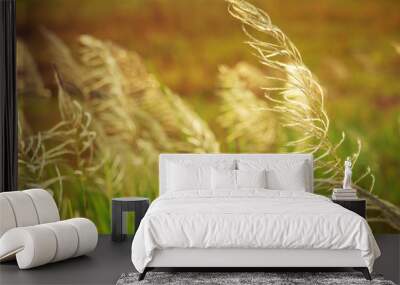 Grass flowers and blurred backgrounds Wall mural