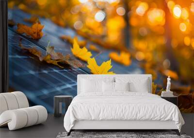 solar panels on roof covered with leaves in autumn Wall mural