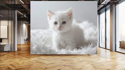 The white kitten standing on a white fluffy blanket Wall mural