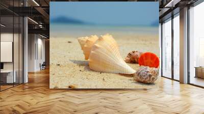  shell on sand Wall mural