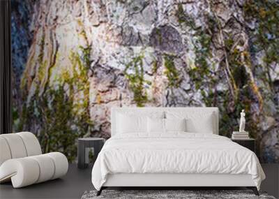 Tree bark surface Wall mural