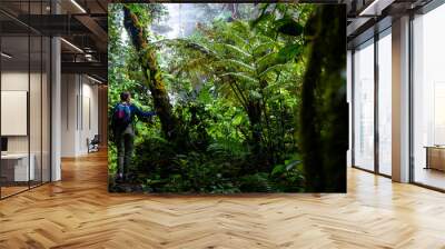 backpacker girl walks through dense jungle in monteverde cloud forest, Costa Rica; walk through fairy tale, magical tropical rainforest; wild nature of Costa Rica Wall mural