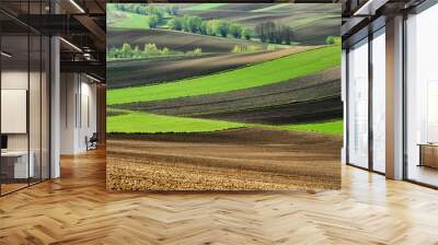 Fields and agriculture, spring countryside, Ponidzie, Poland	 Wall mural