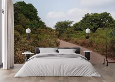 Gravel road in African Lake Manyara National Park in Arusha region in TANZANIA Wall mural