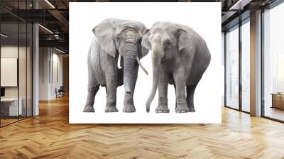 Pair of elephants isolated on white background Wall mural