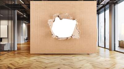 Ripped hole in cardboard on white background with clipping path Wall mural