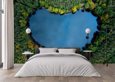 Heart - shaped lake in the green forest. Bird's eye view of the blue water and treetops in a daylight. Wall mural