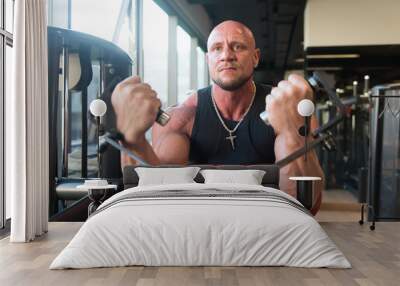 Man Exercising Biceps In The Gym Wall mural