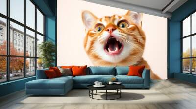 Angry and surprised cat isolated on transparent png background with a funny and excited expression.  Wall mural