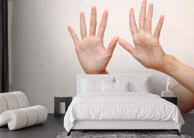 sign of the hand gesture. Wall mural